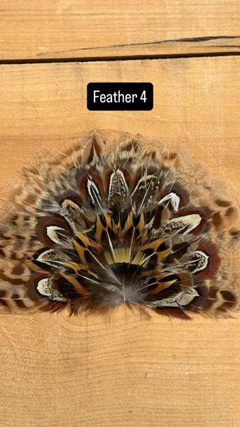 IRON ON FEATHER FANS FOR TRUCKER HATS AND COWBOY HATS