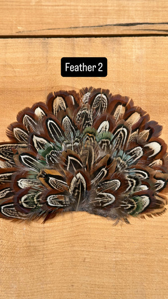 IRON ON FEATHER FANS FOR TRUCKER HATS AND COWBOY HATS